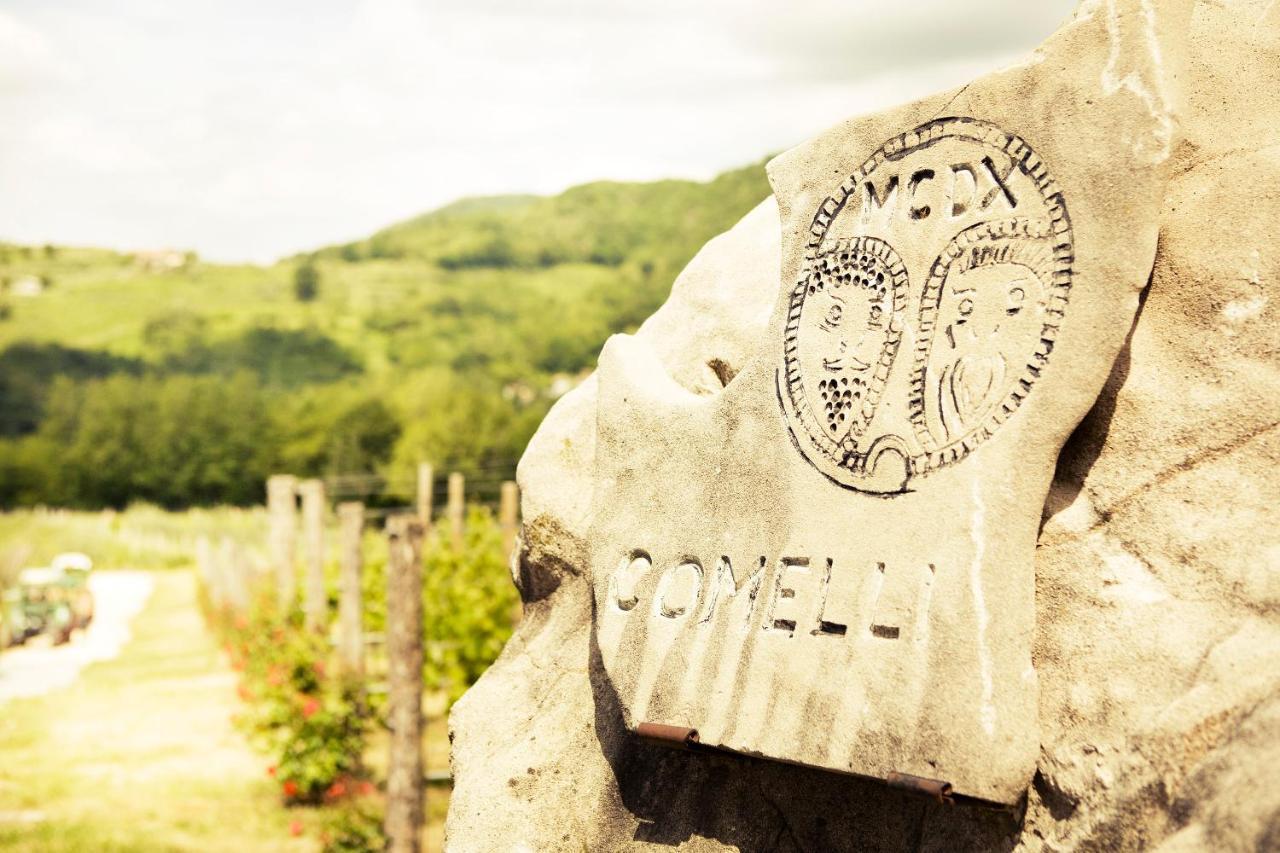 Faedis Agriturismo L'Uva E Le Stelle מראה חיצוני תמונה